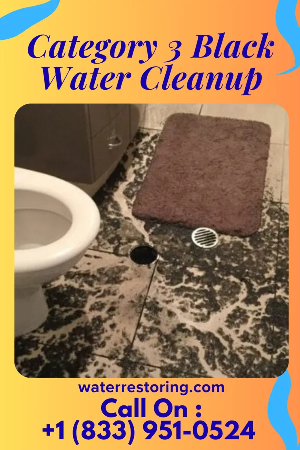 Category 3 Black Water Cleanup in Risingsun, OH
