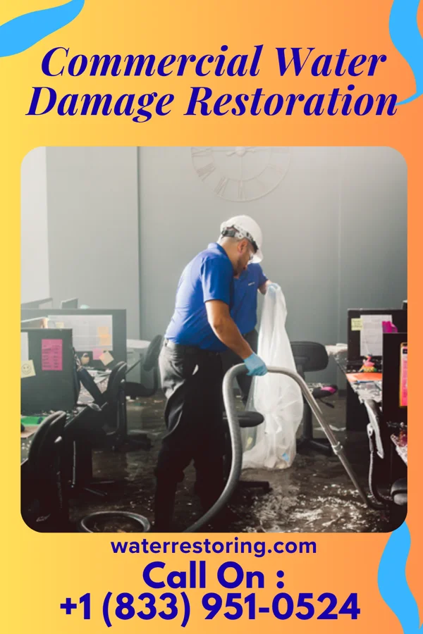Commercial Water Damage Restoration in Risingsun, OH