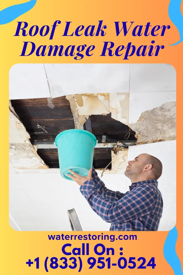 Roof Leak Water Damage Repair in Risingsun, OH