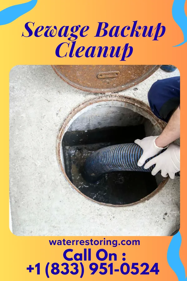 Sewage Backup Cleanup in Risingsun, OH