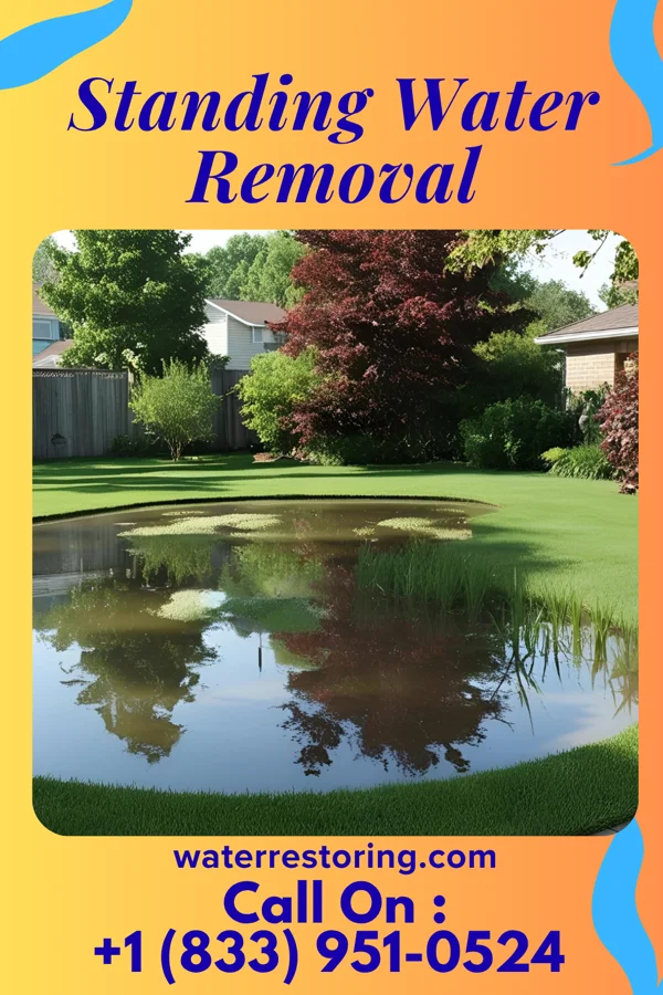 Standing Water Removal in Risingsun, OH